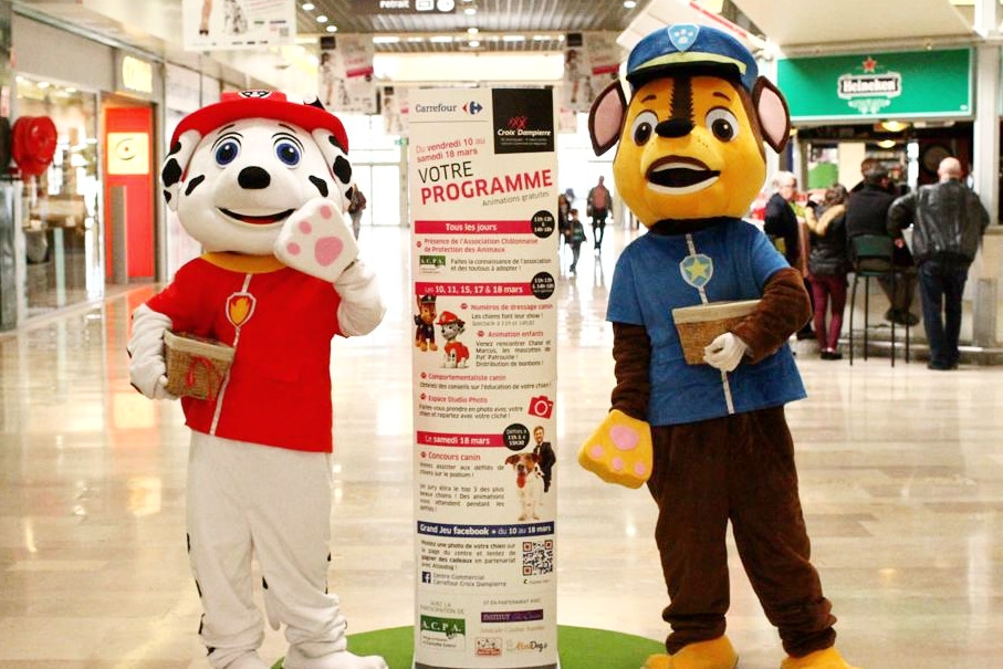 Costume Pat Patrouille pour anniversaire enfant