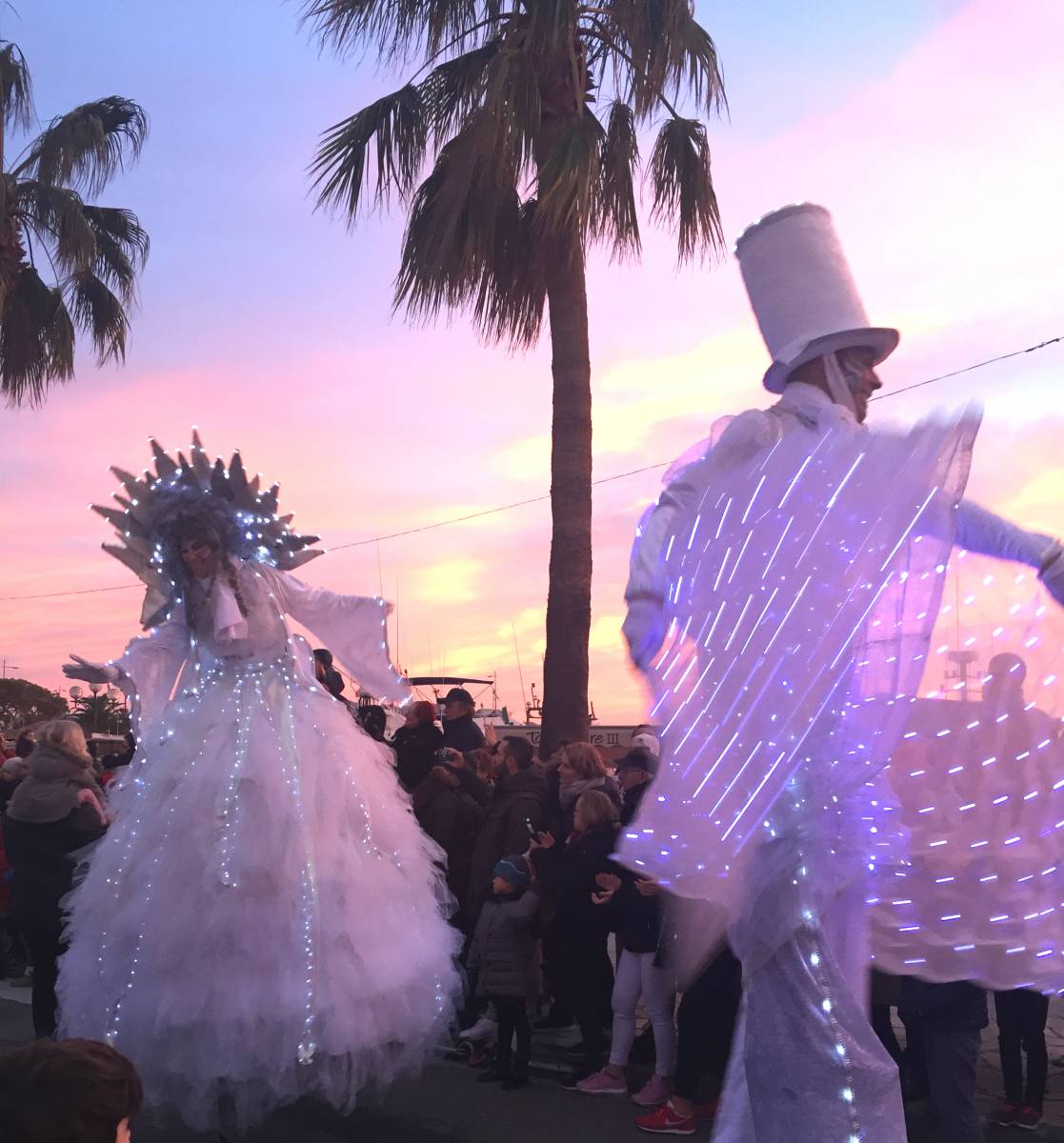Prestation Echassiers blancs majestueux pour mariage sur Toulon